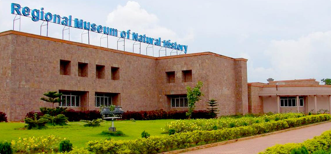 Regional Museum of Natural History